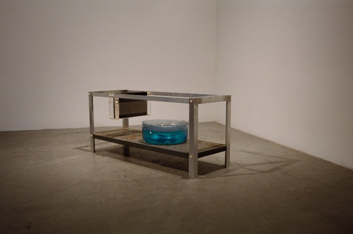 Real Corporeal