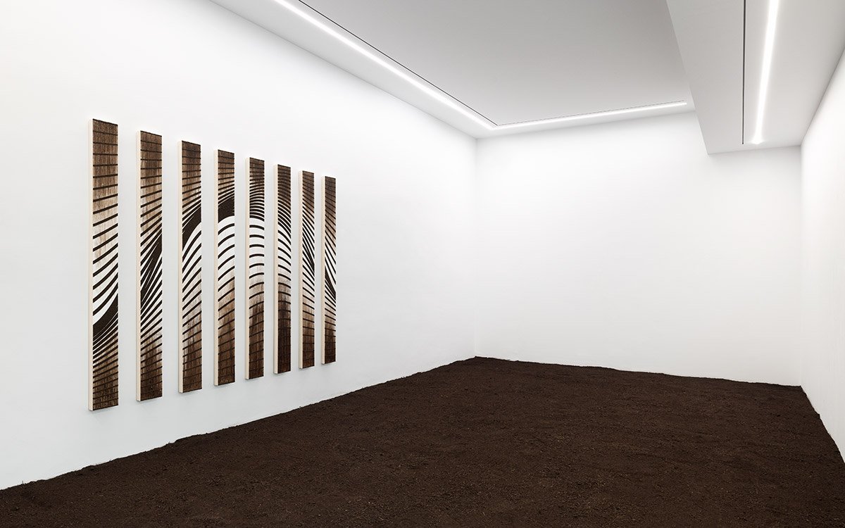 Claudia Comte, Home Sweet Home