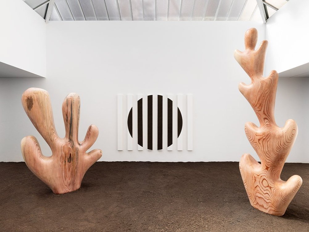 Claudia Comte, Home Sweet Home