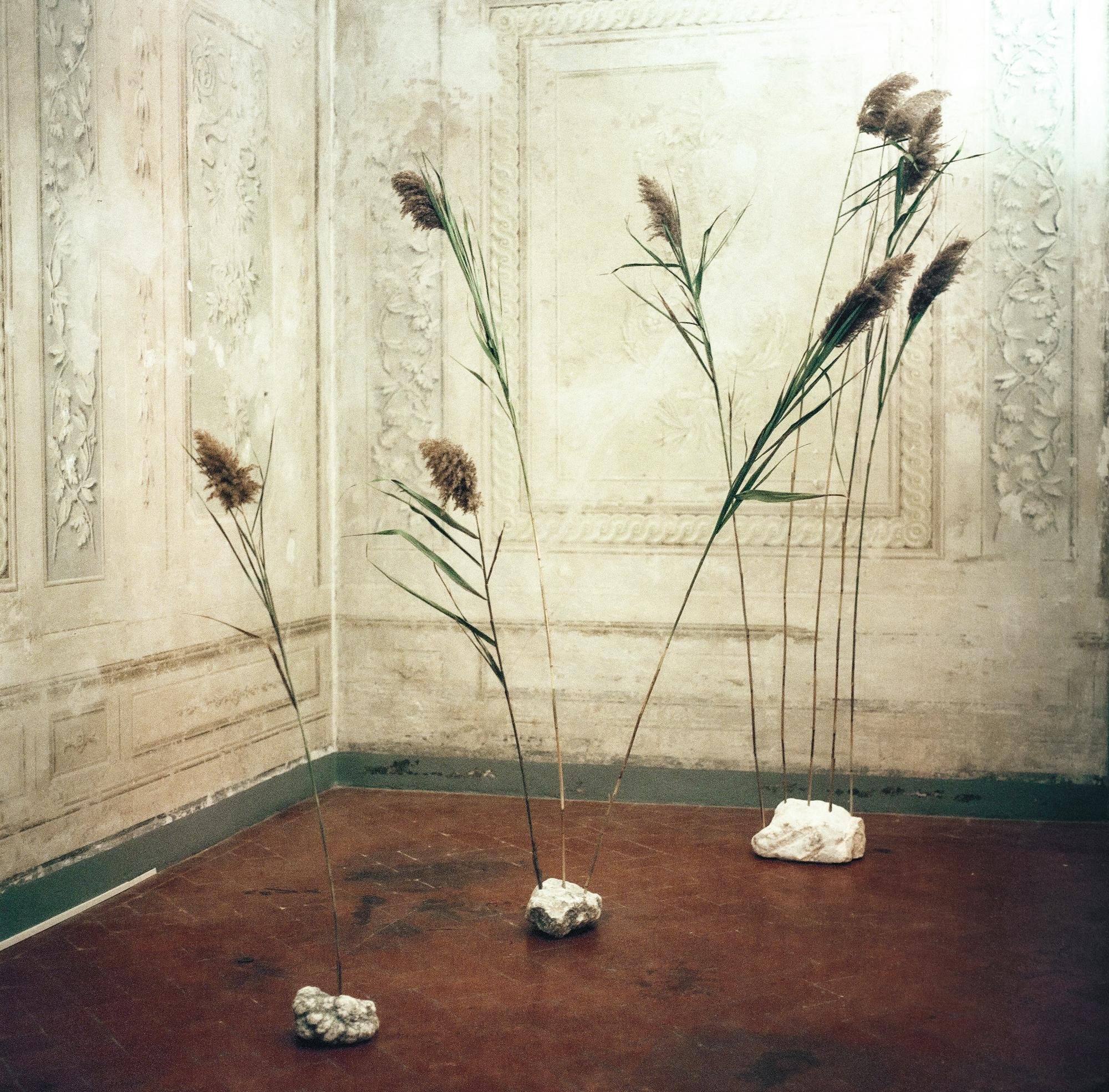 Gala Prudent, Concerto of the periphery in I, III, and V