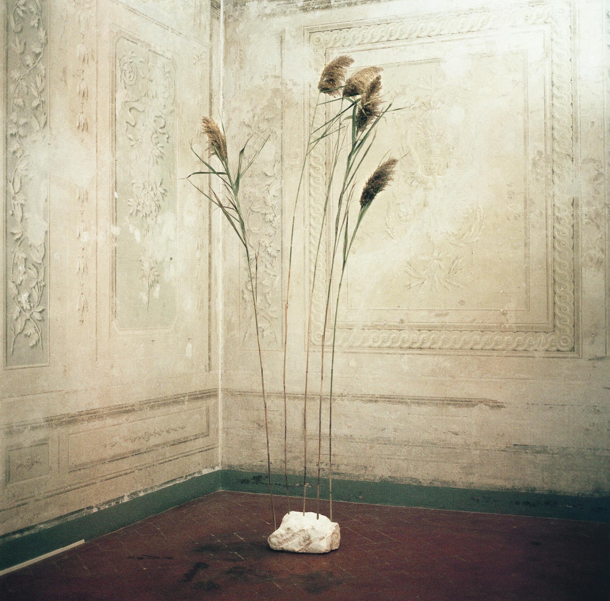 Gala Prudent, Concerto of the periphery in I, III, and V