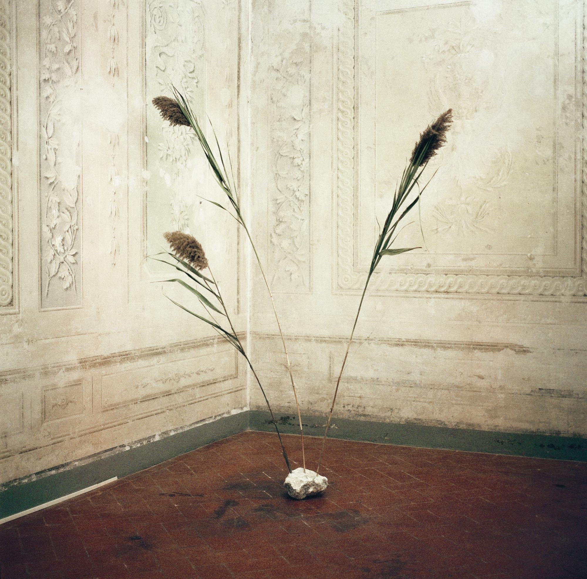 Gala Prudent, Concerto of the periphery in I, III, and V