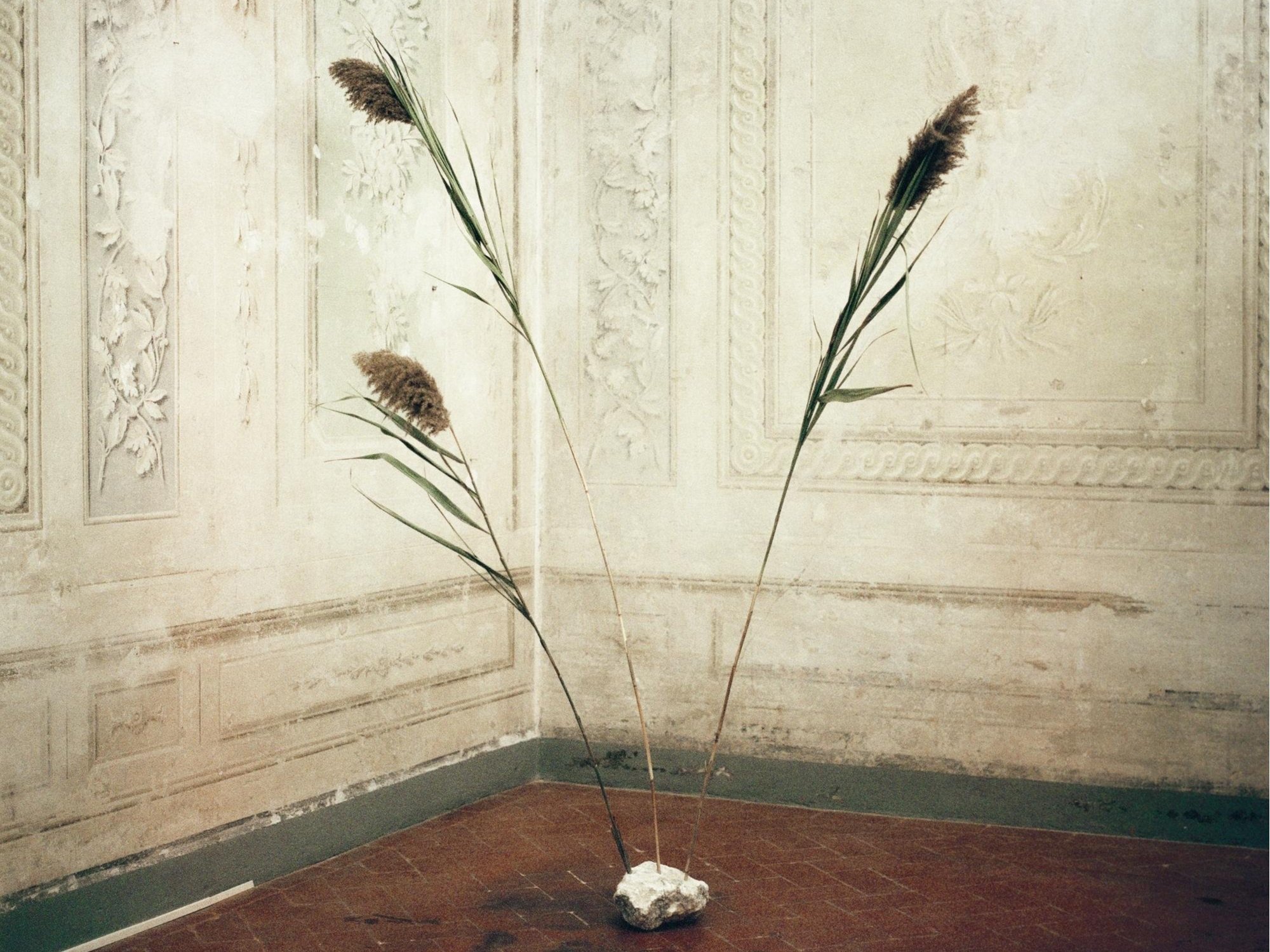 Gala Prudent, Concerto of the periphery in I, III, and V