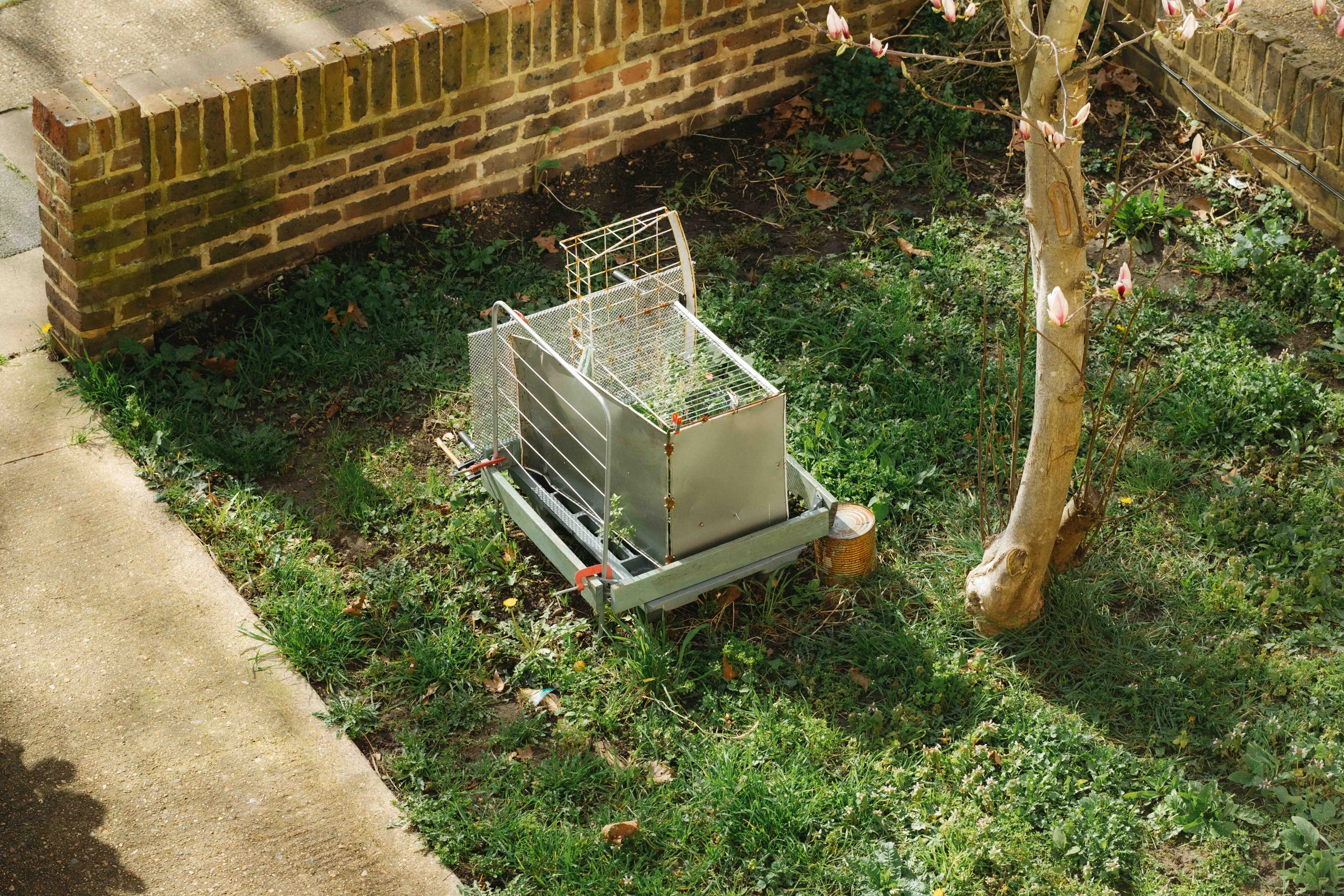 Rooms of Neighbours — Isabella Costabile