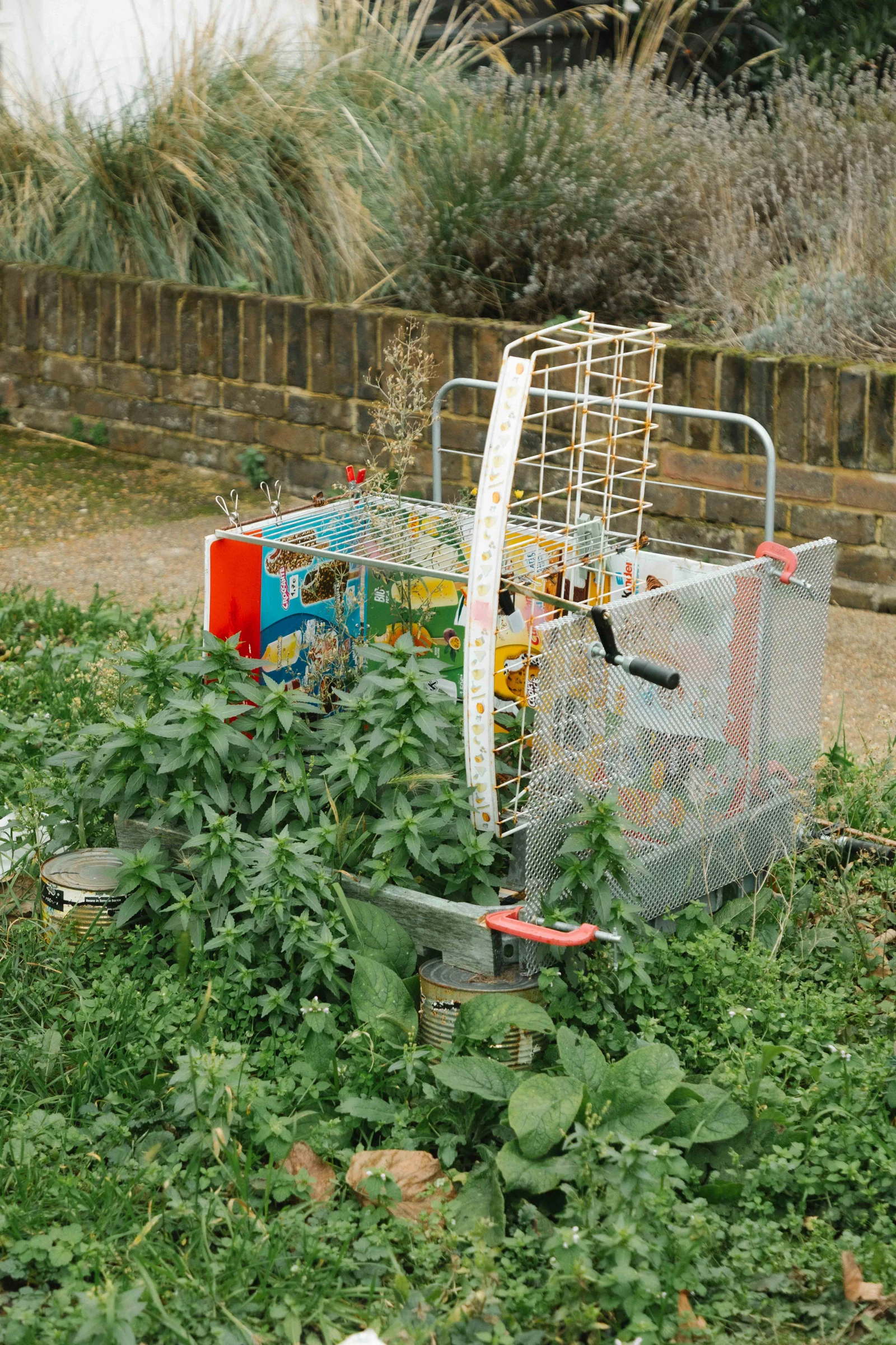 Rooms of Neighbours — Isabella Costabile